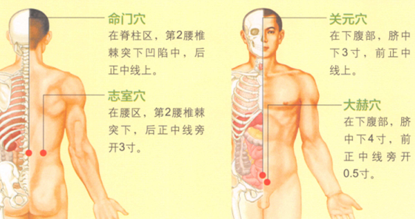 益肾温阳艾灸调理方艾灸