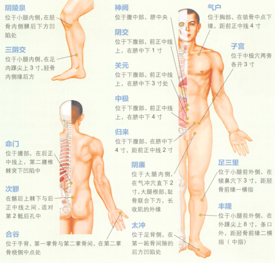 女性不孕症艾灸