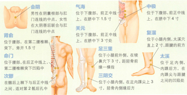 男性不育症艾灸