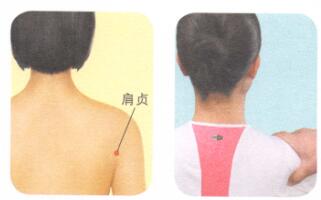 健美肩部按摩