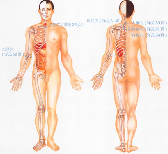 慢性支气管炎按摩