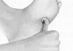 更年期综合征按摩