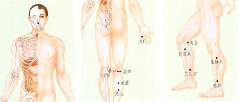 腓肠肌痉挛(腿抽筋)刮痧