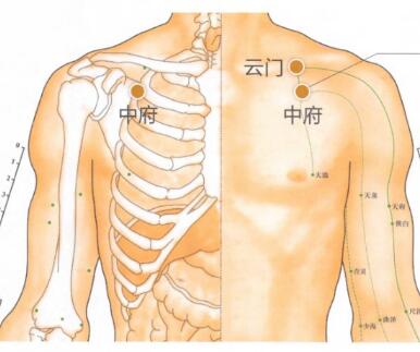 中府穴