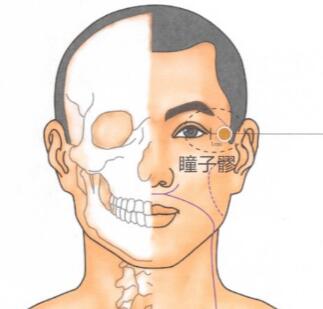 瞳子髎穴