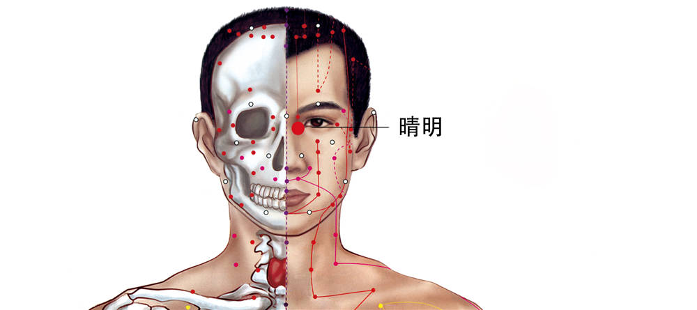 睛明穴