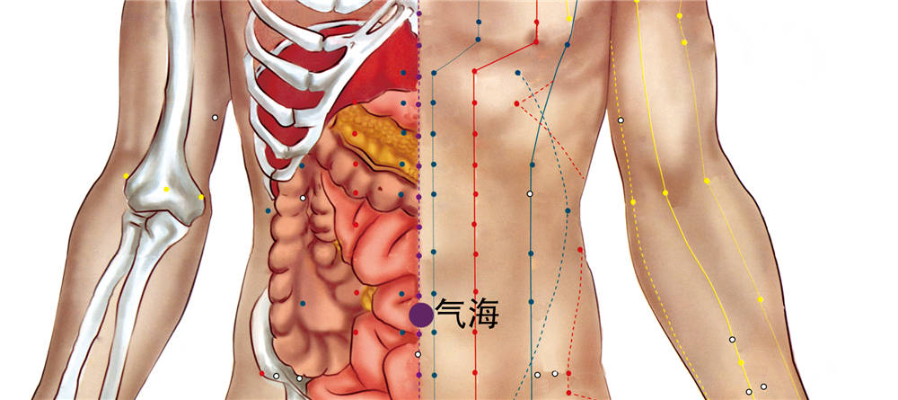气海穴