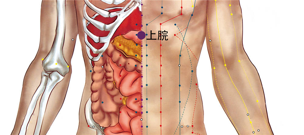 上脘穴