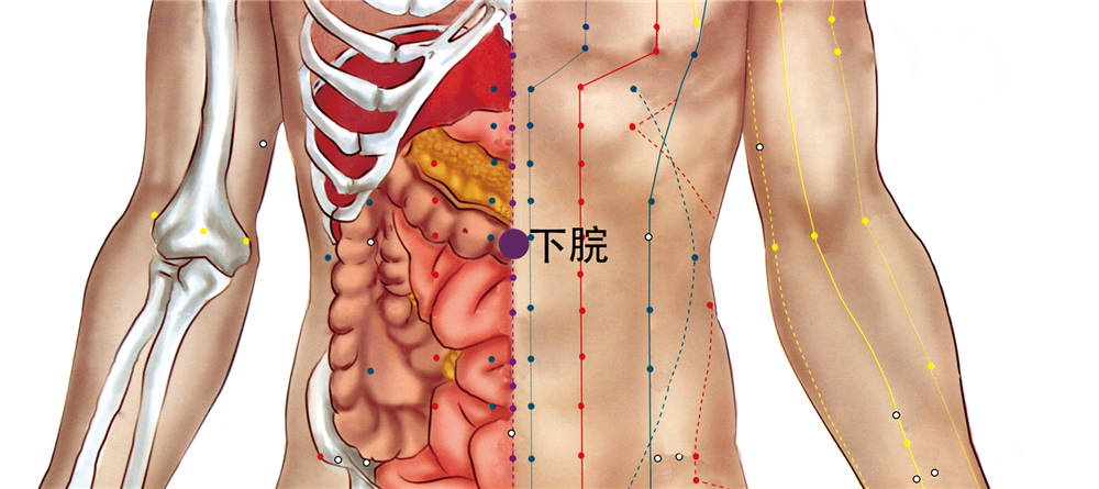 下脘穴