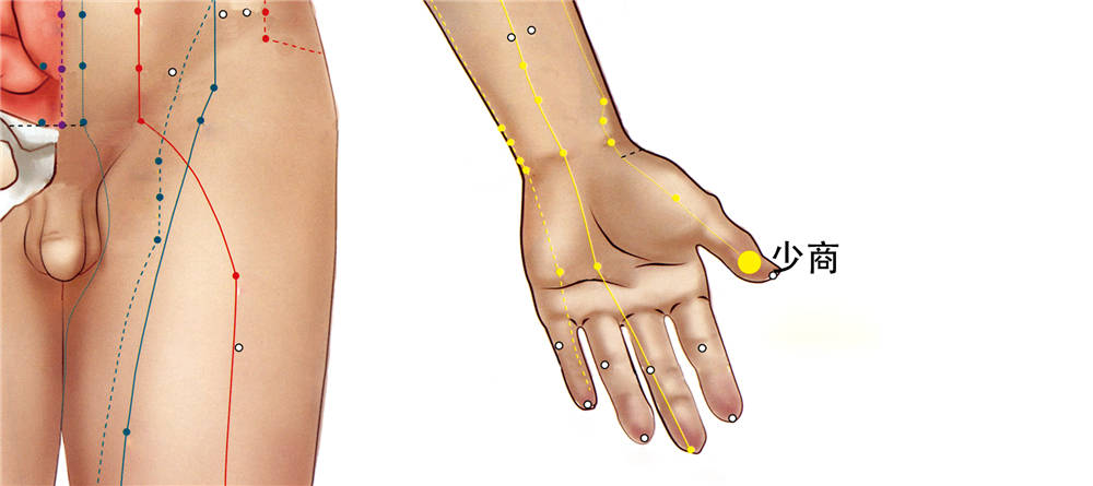少商穴