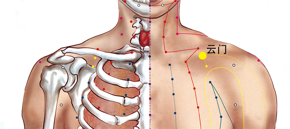云门穴