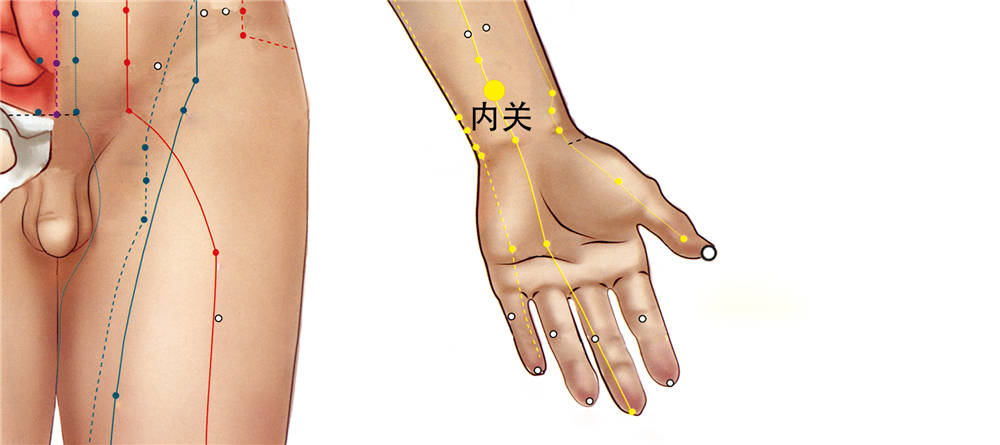 内关穴