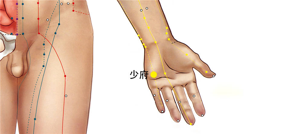 少府穴