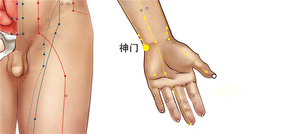 神门穴