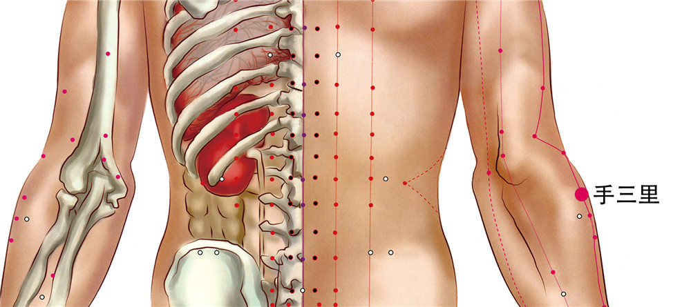 手三里穴