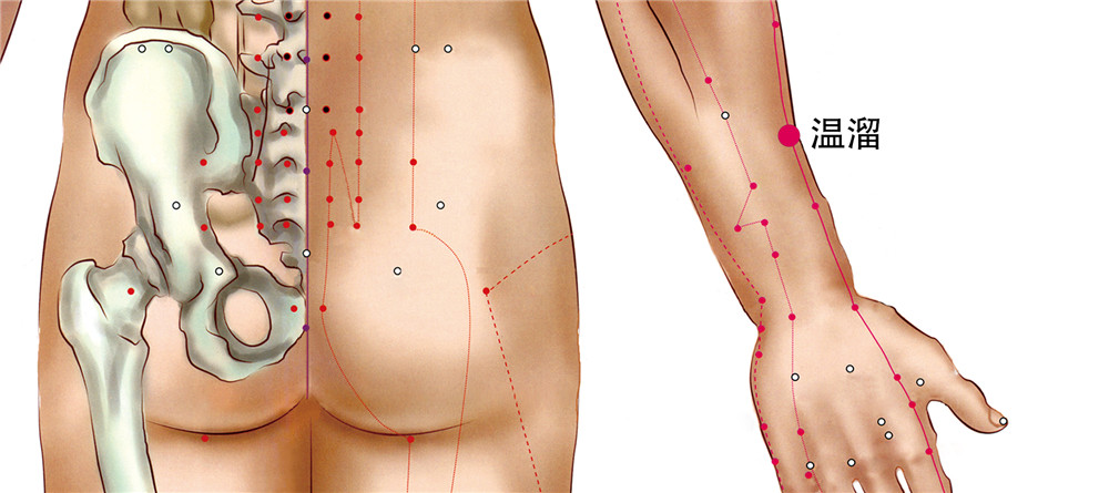 温溜穴