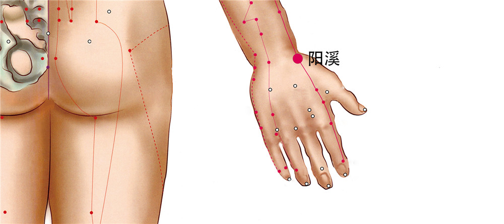 阳溪穴