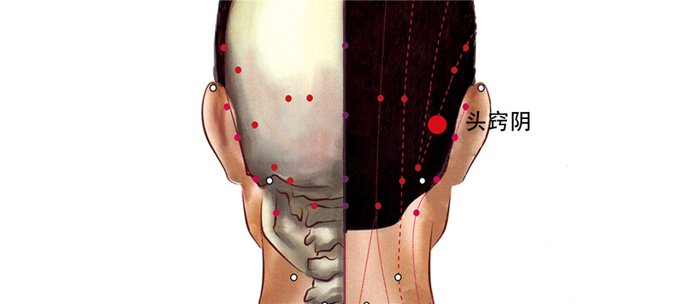 头窍阴穴
