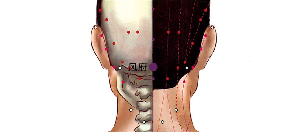 风府穴