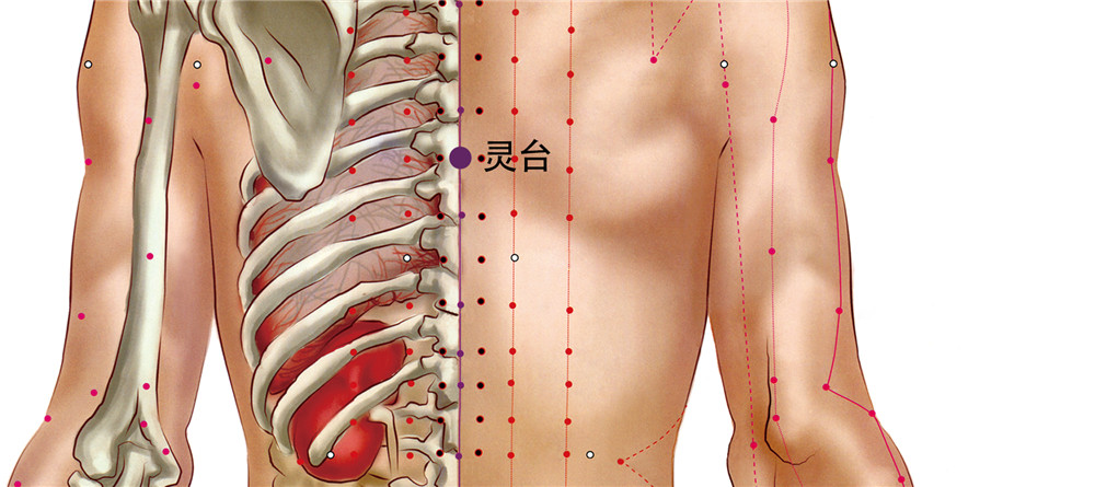 灵台穴