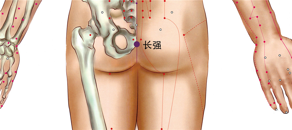 长强穴