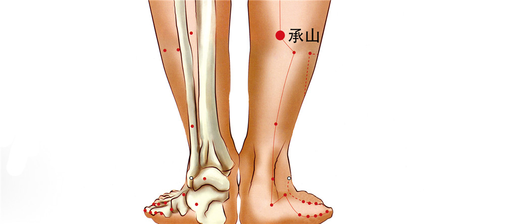 承山穴