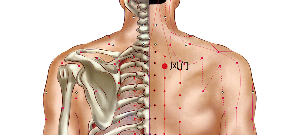 风门穴