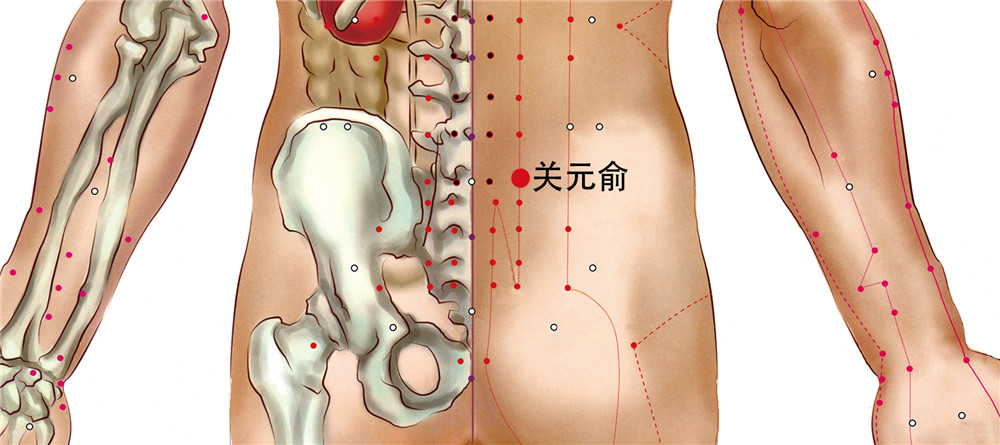 关元俞穴