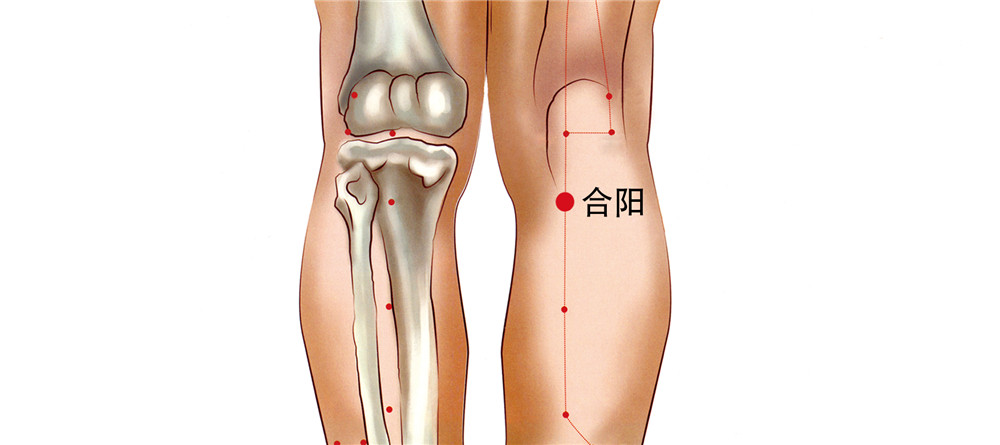 合阳穴