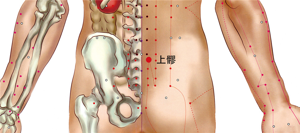 上髎穴