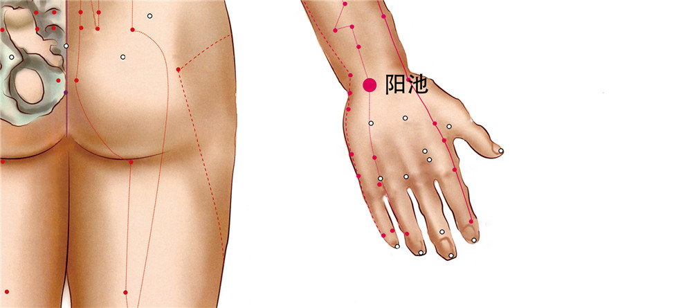 阳池穴