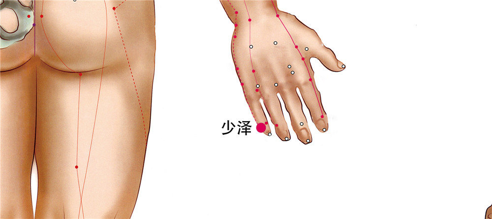 少泽穴