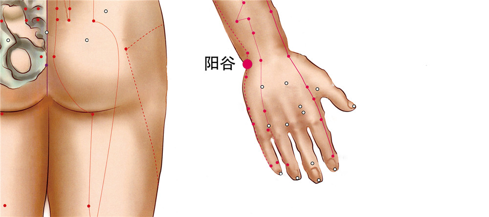阳谷穴
