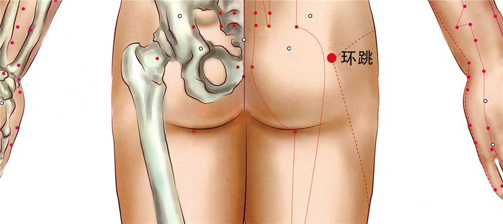 环跳穴
