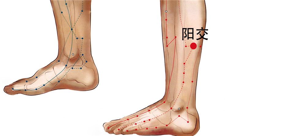 阳交穴