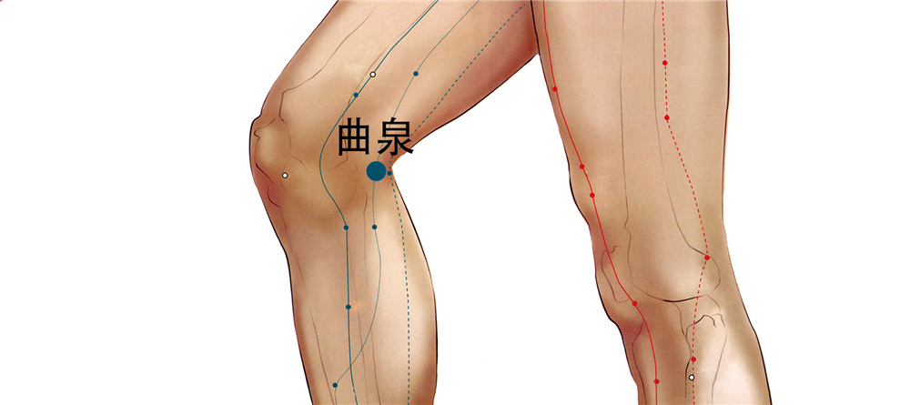 曲泉穴