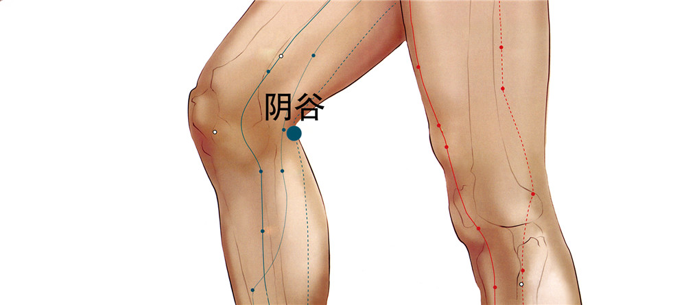 阴谷穴