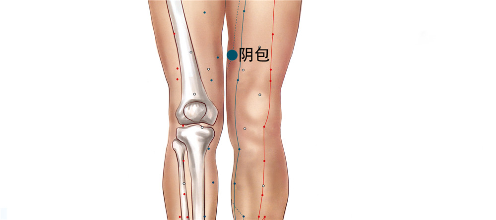 阴包穴