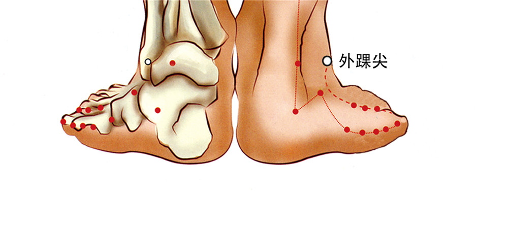 外踝尖穴