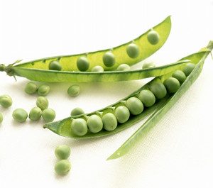 豌豆