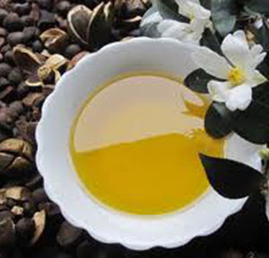 油茶油