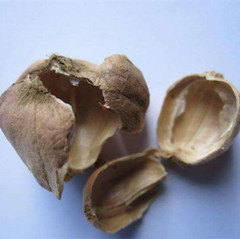 白豆蔻壳